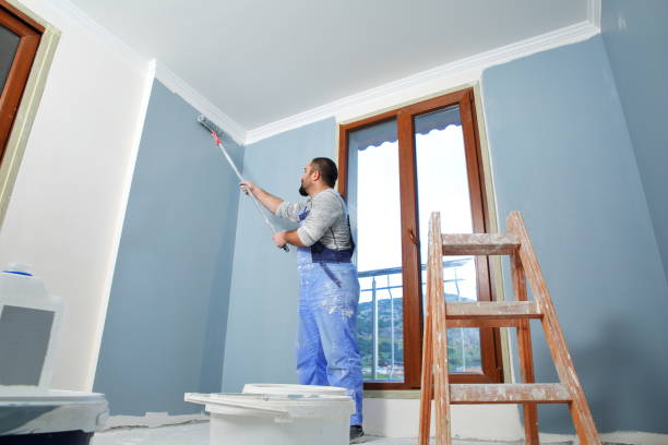 Best Comprehensive Air Testing for Mold Contaminants  in Buchanan, MI