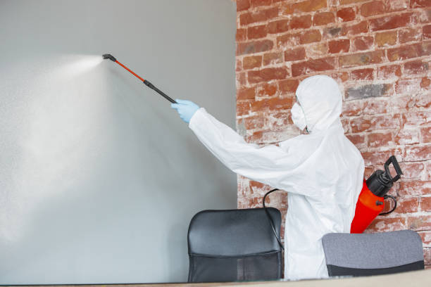 Best Commercial Mold Inspection  in Buchanan, MI