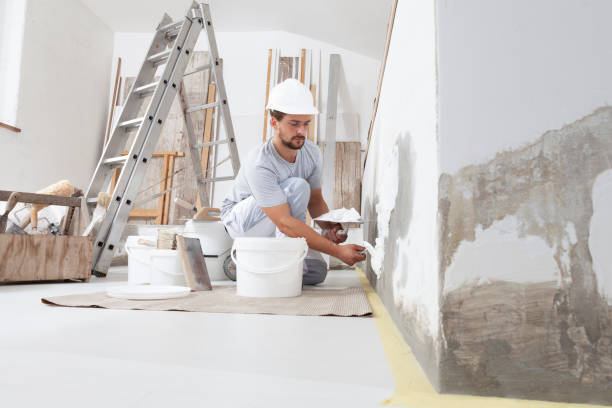  Buchanan, MI Mold Removal Pros