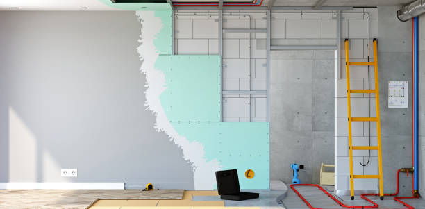 Best Forensic Mold Investigation  in Buchanan, MI