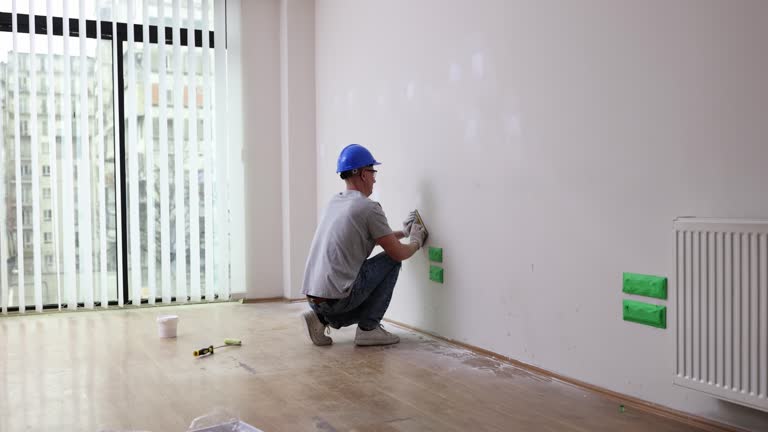Best Black Mold Removal  in Buchanan, MI