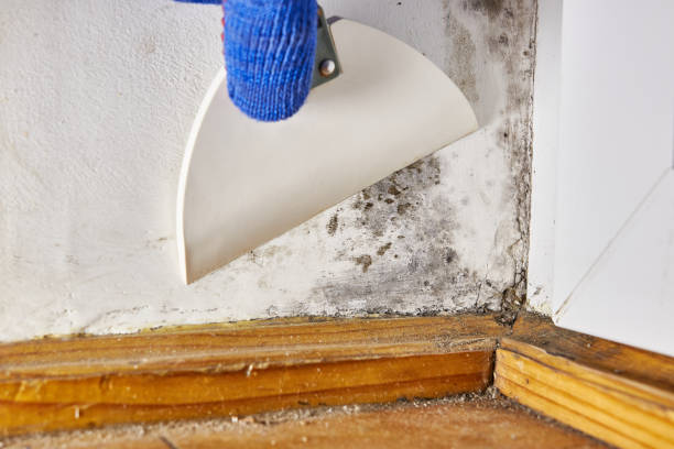 Best Indoor Air Quality Assessment  in Buchanan, MI