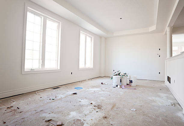 Best Emergency Mold Remediation  in Buchanan, MI