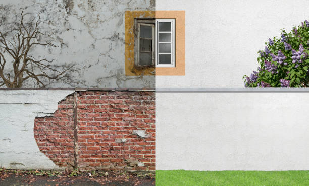 Best Real Estate Mold Inspection  in Buchanan, MI